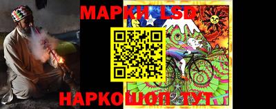 стаф Гатчина