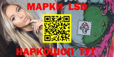 стаф Гатчина