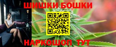 стаф Гатчина