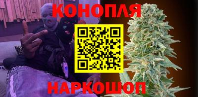 стаф Гатчина