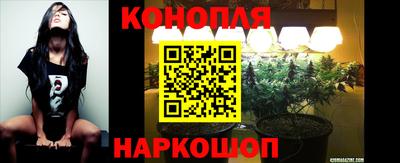 мет Гай