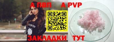 стаф Гатчина