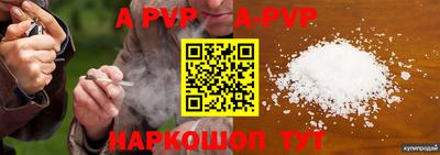 стаф Гатчина