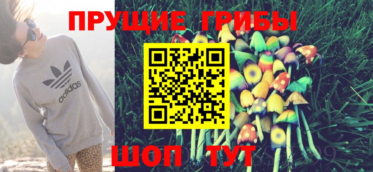 Оренбург  Псилоцибиновые грибы MAGIC MUSHROOMS  Вход с VPN 